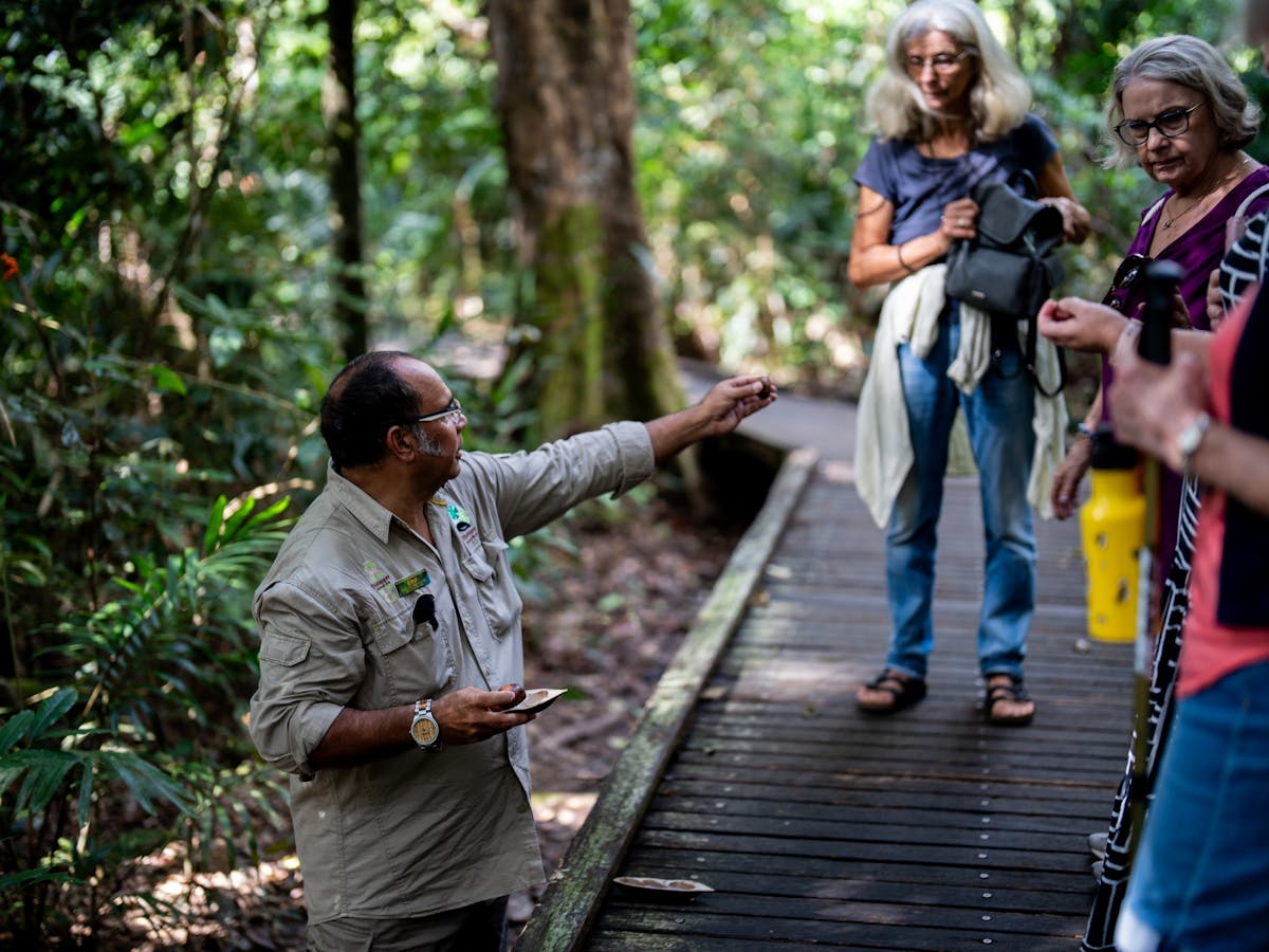 An indigenous guide takes a tour group through World Heritage-listed Rainforest in Kuranda, TNQ.