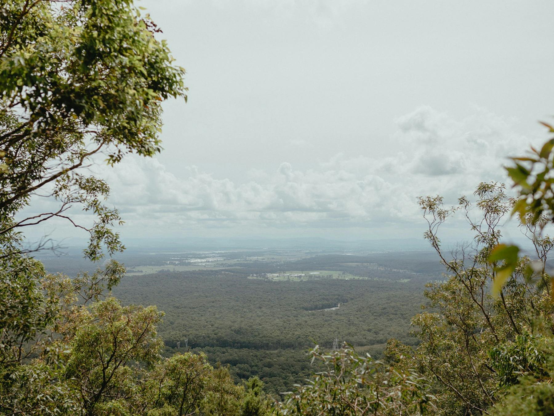 Mount Sugarloaf Lookout