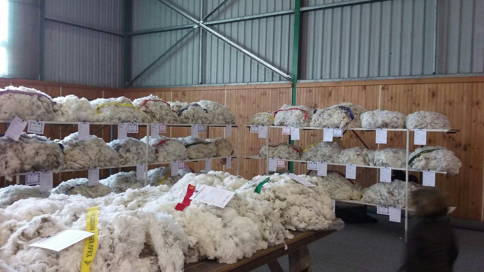 Yass Show Wool