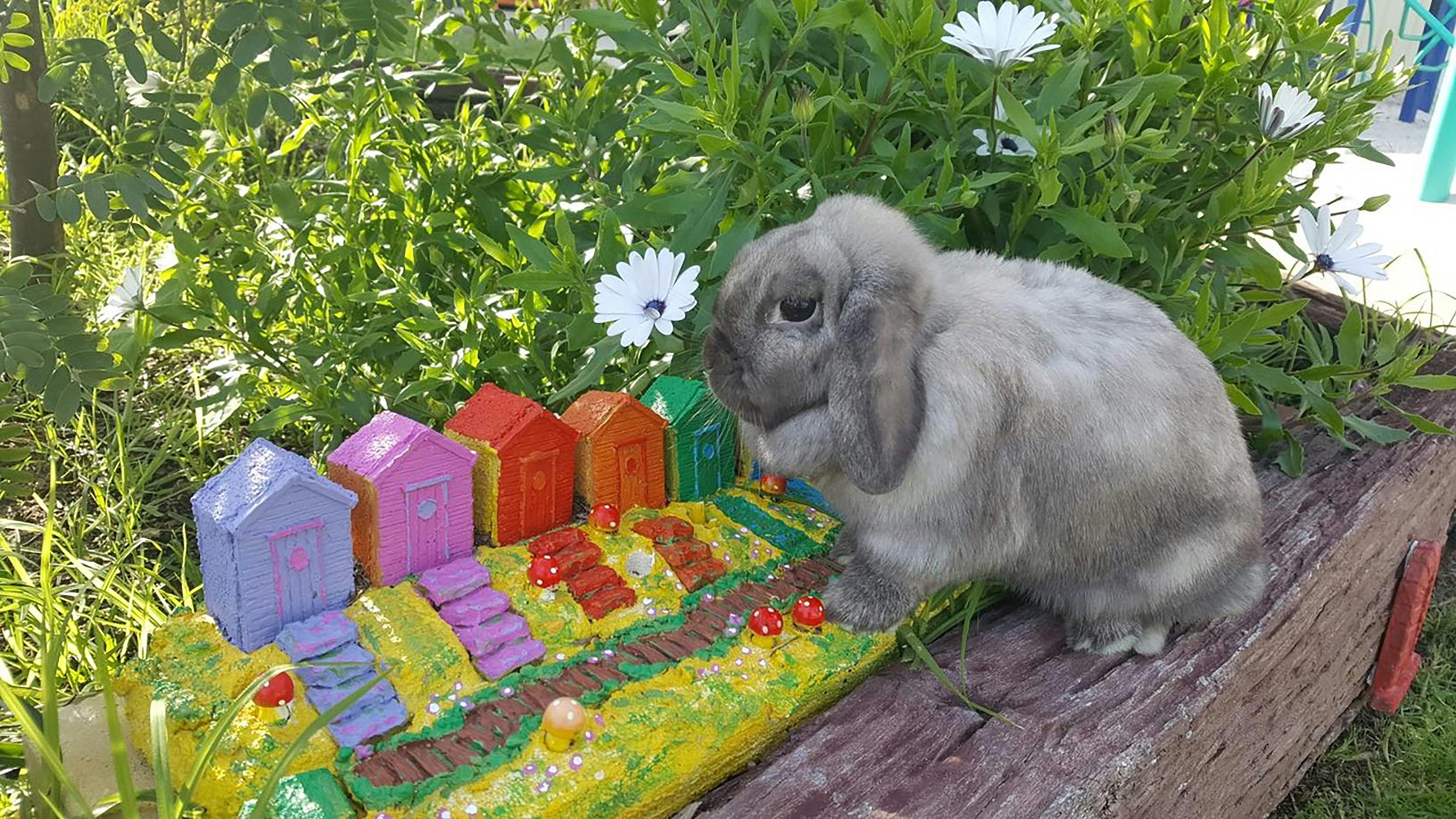 Flossy the Magic Barn bunny is looking for the fairy houses in the garden.  She loves cuddles.