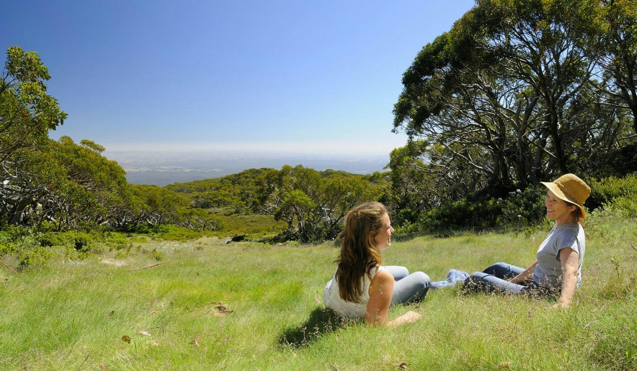 Mt Baw Baw summer
