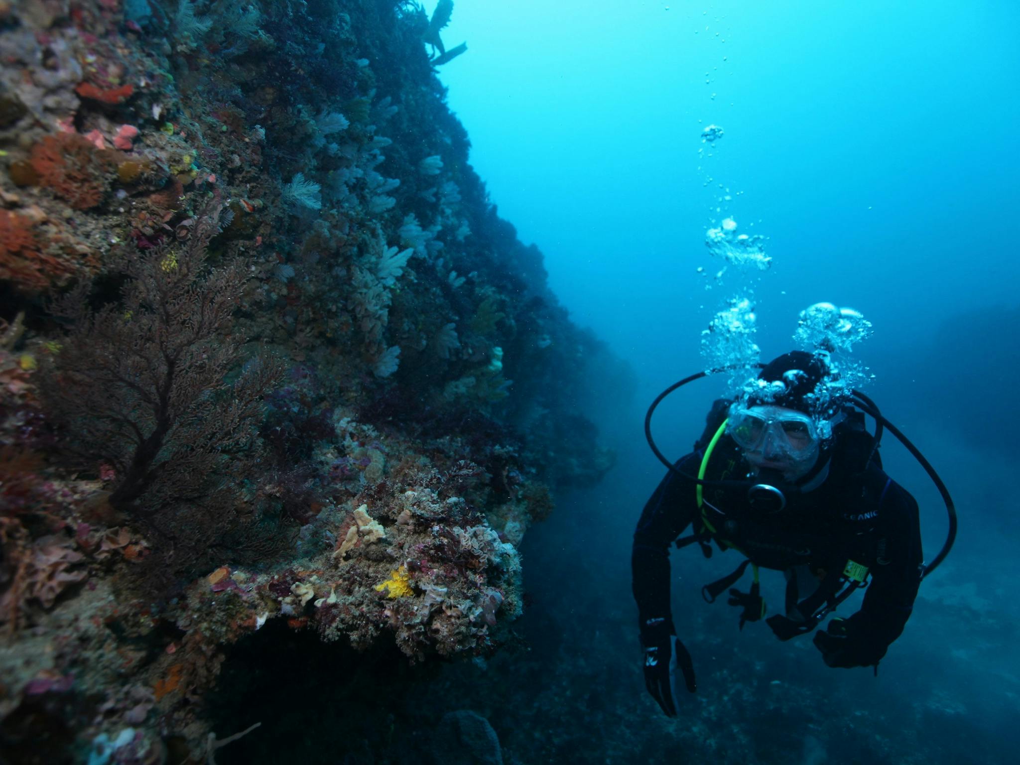 Twelve Apostles Marine National Park