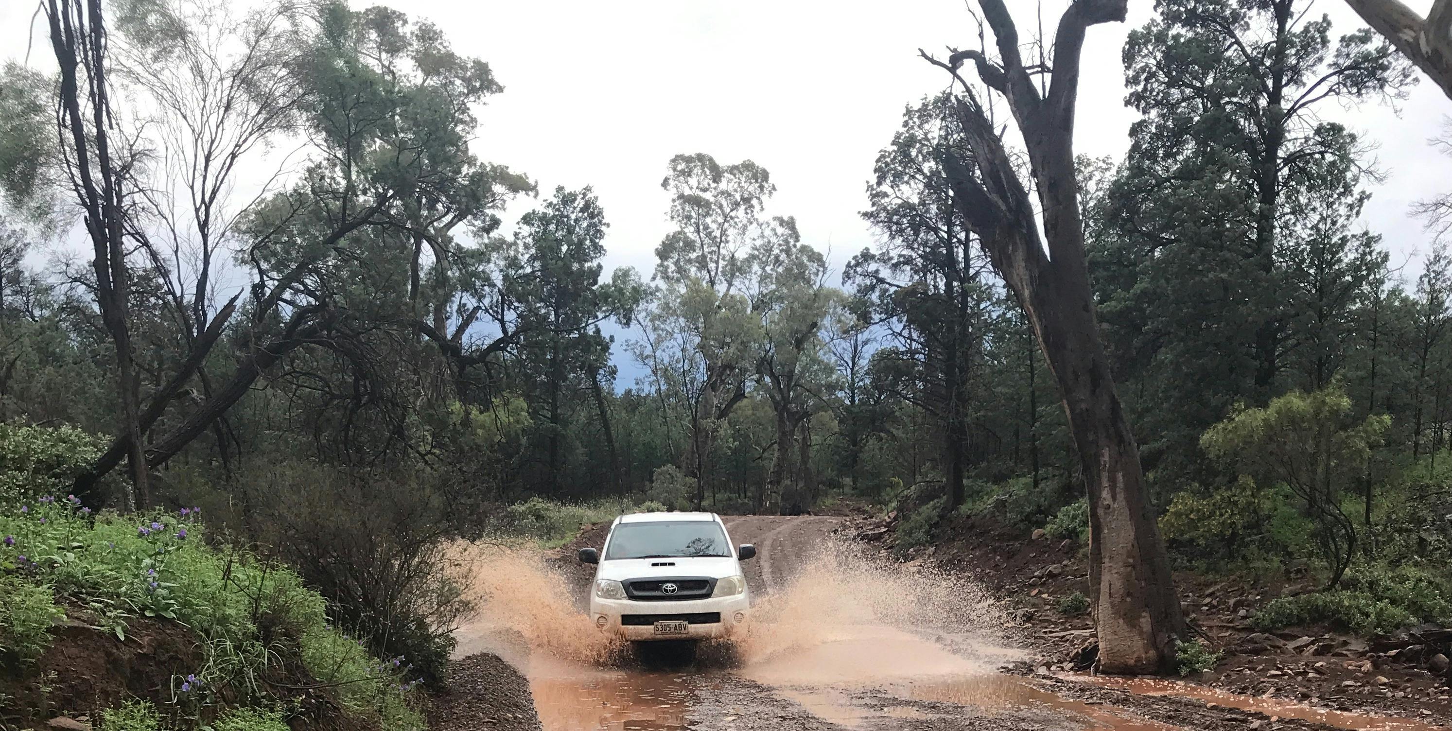 Bunyeroo Gorge
