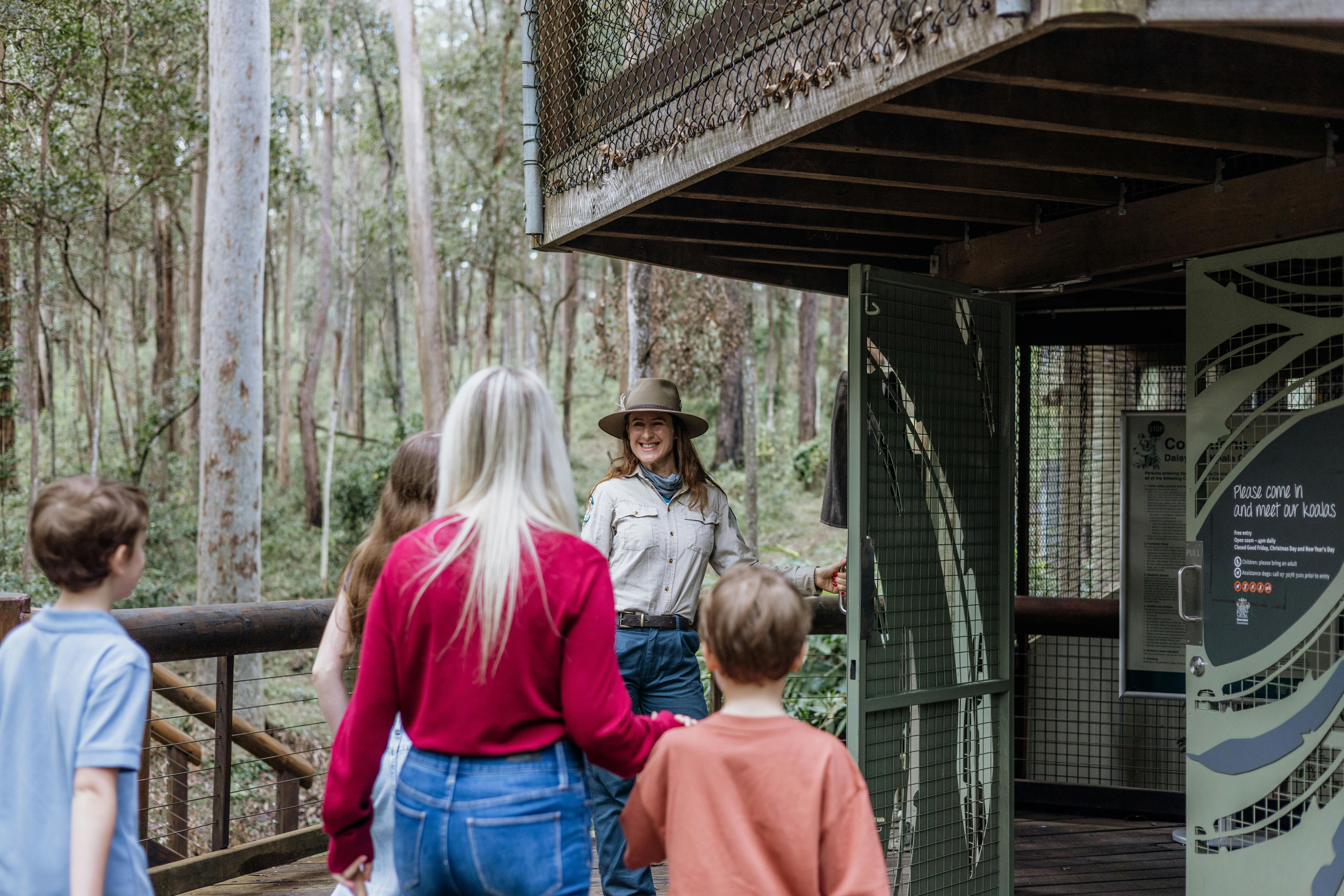 Step inside and discover the world of koalas.