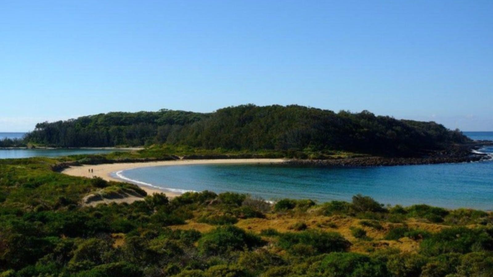 Broulee Island Nature Reserve Walk