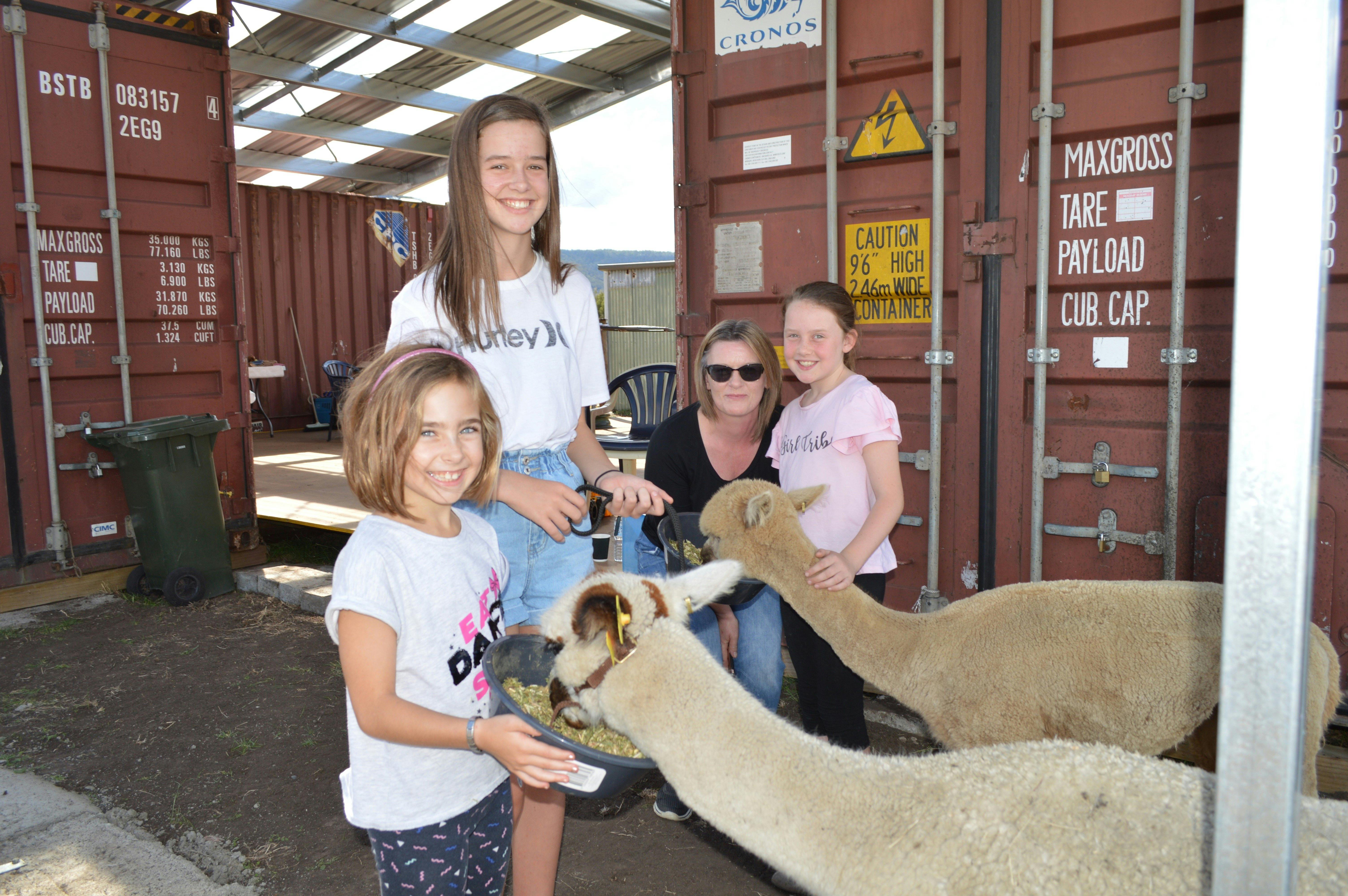 a family of 4 feeding the alpacas