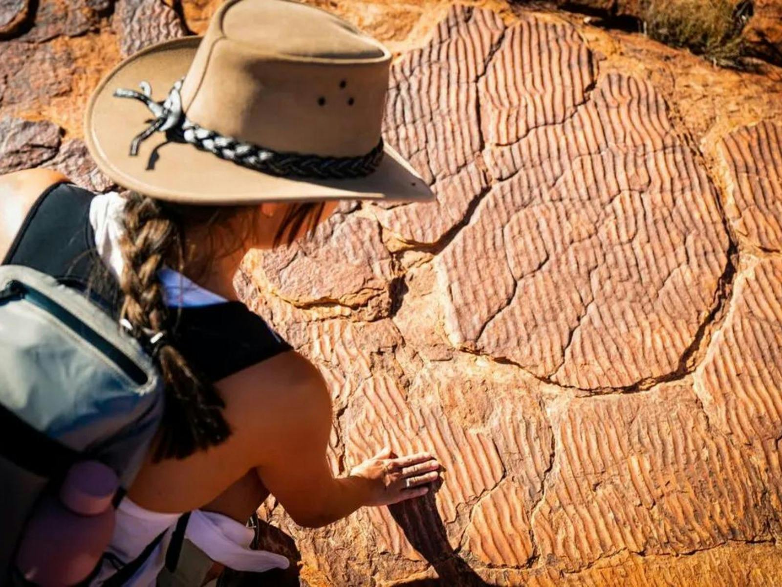 Red Centre & Uluru Explorer