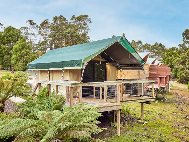 Safari Tent