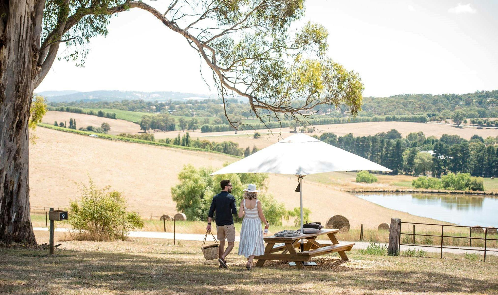 7-Day SA Food and Wine E-bike Tour