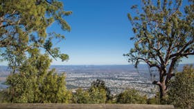 Zamia Walk, Mount Archer National Park