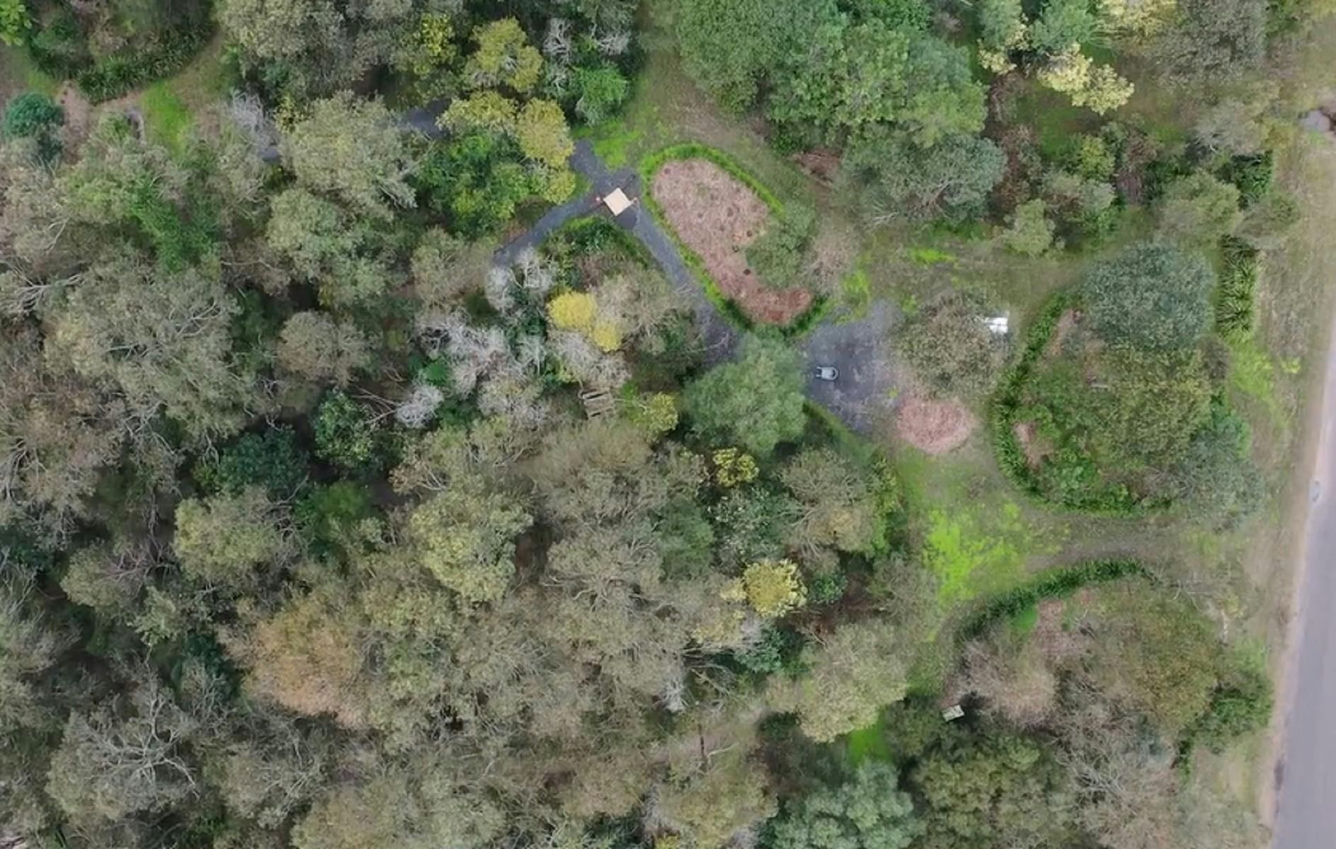 Tucabia Flora Reserve