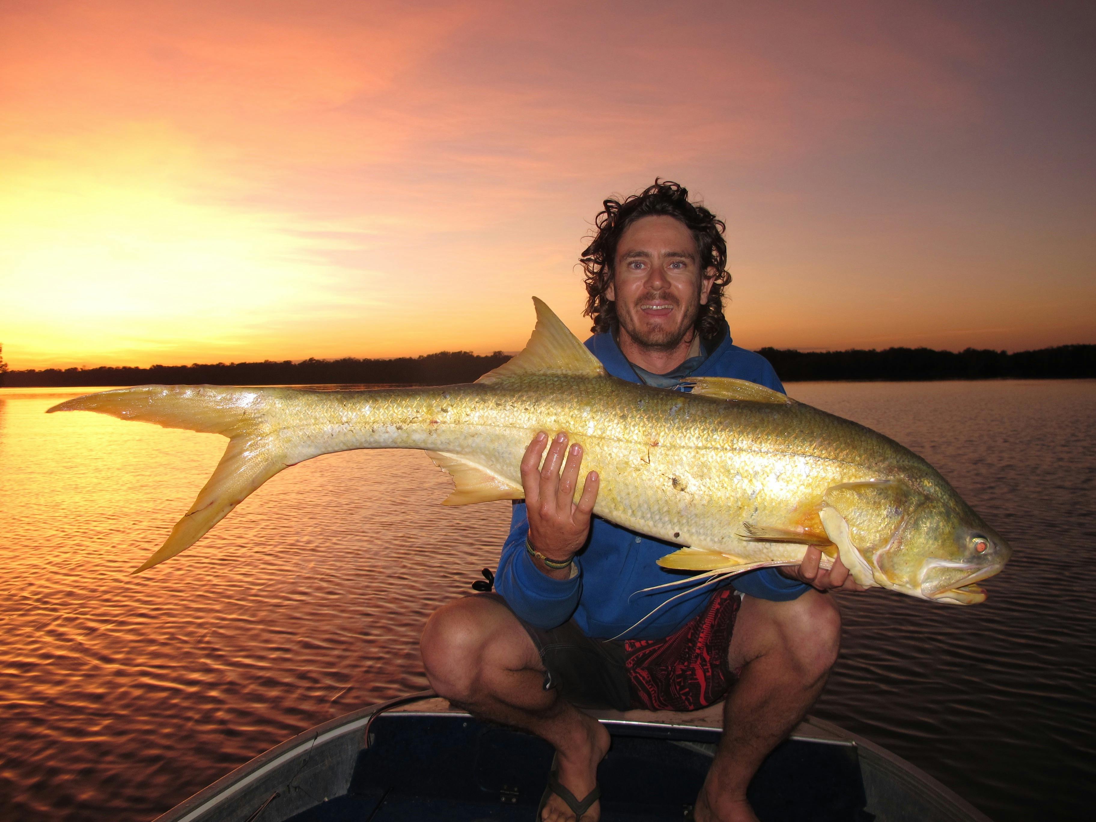 king threadfin salmon