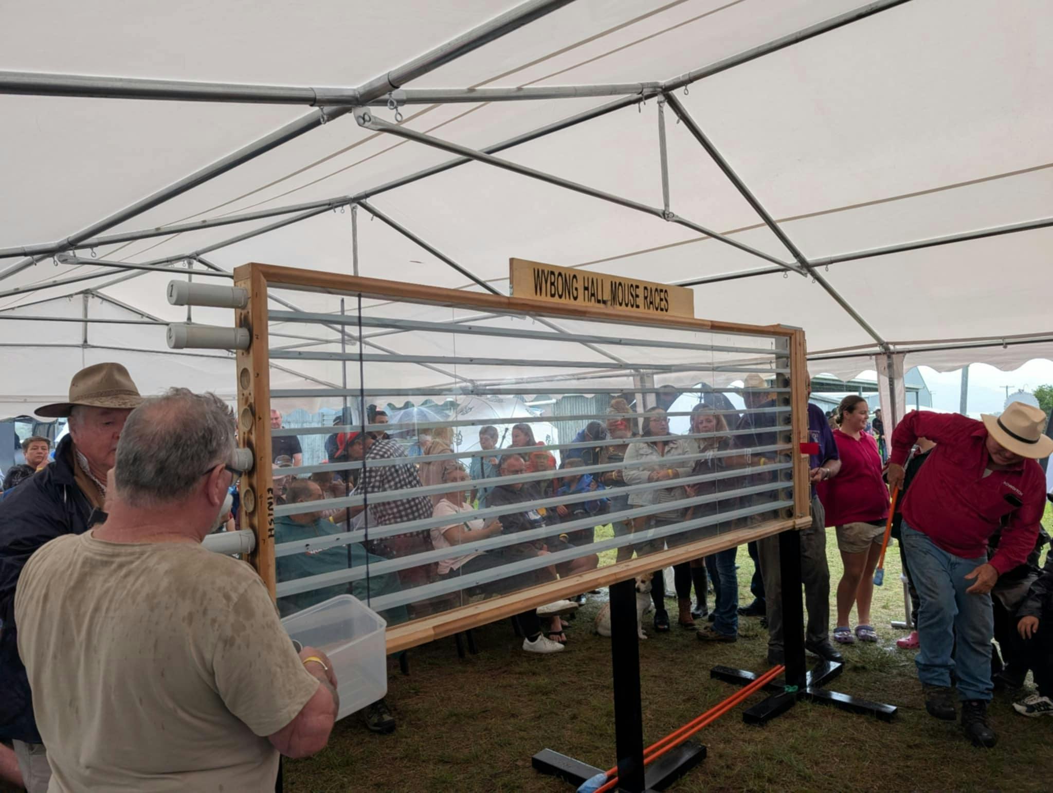 와이봉 마우스 레이스