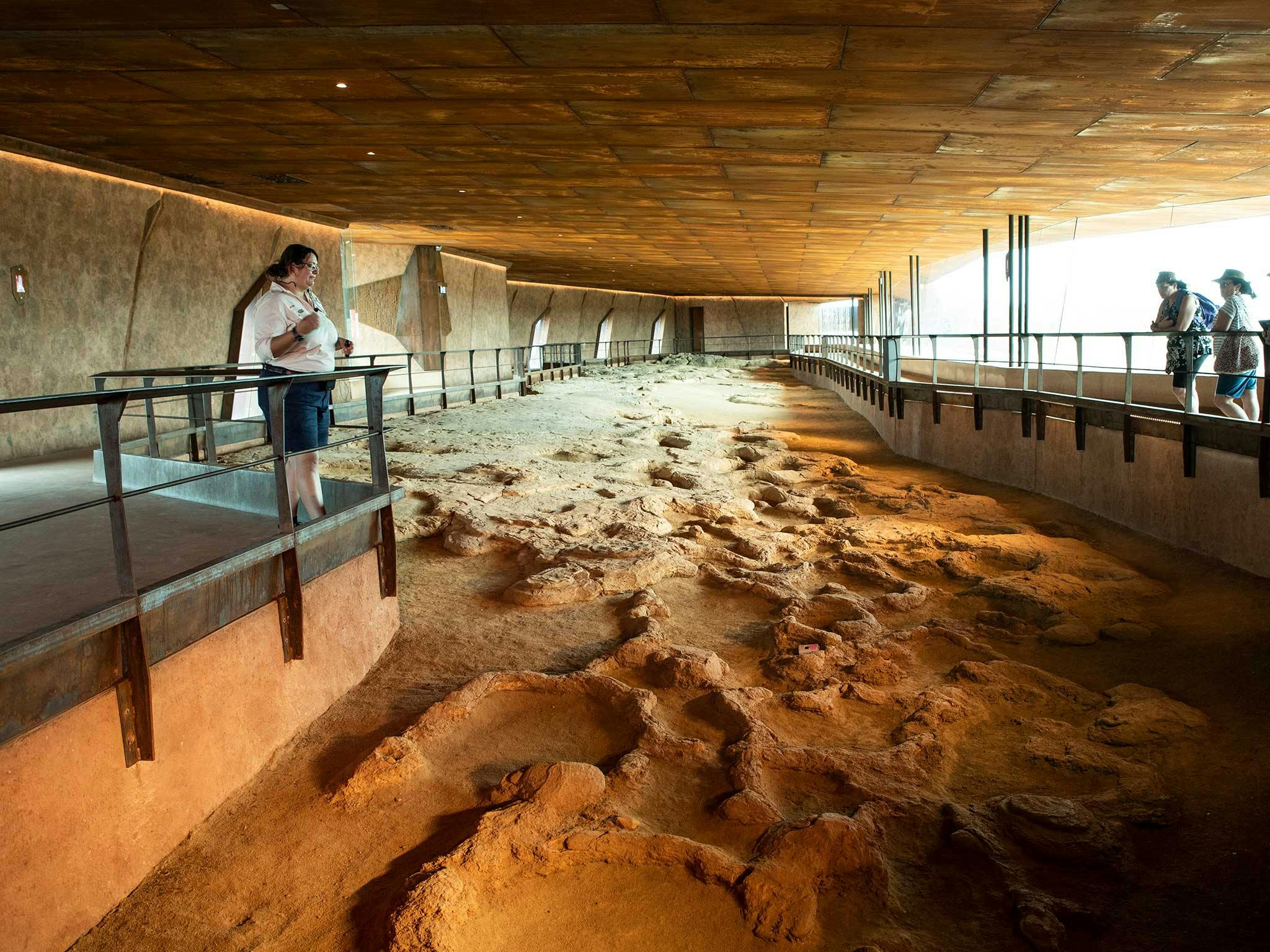 Visit the dinosaur stampede in Winton, with Outback Pioneers
