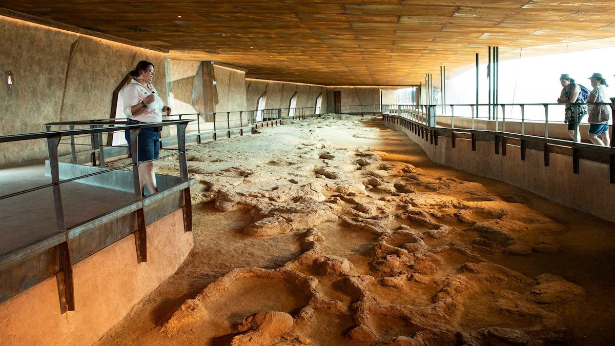 Visit the dinosaur stampede in Winton, with Outback Pioneers