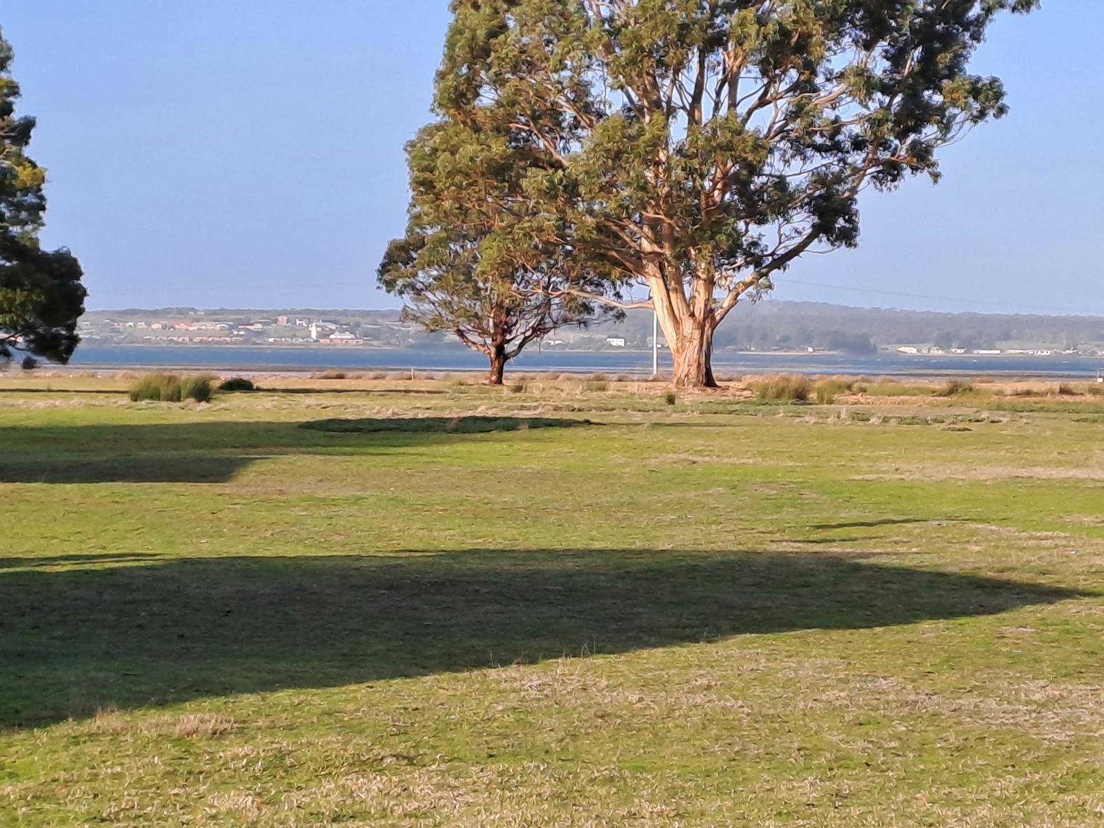 View from Premier cabin 6