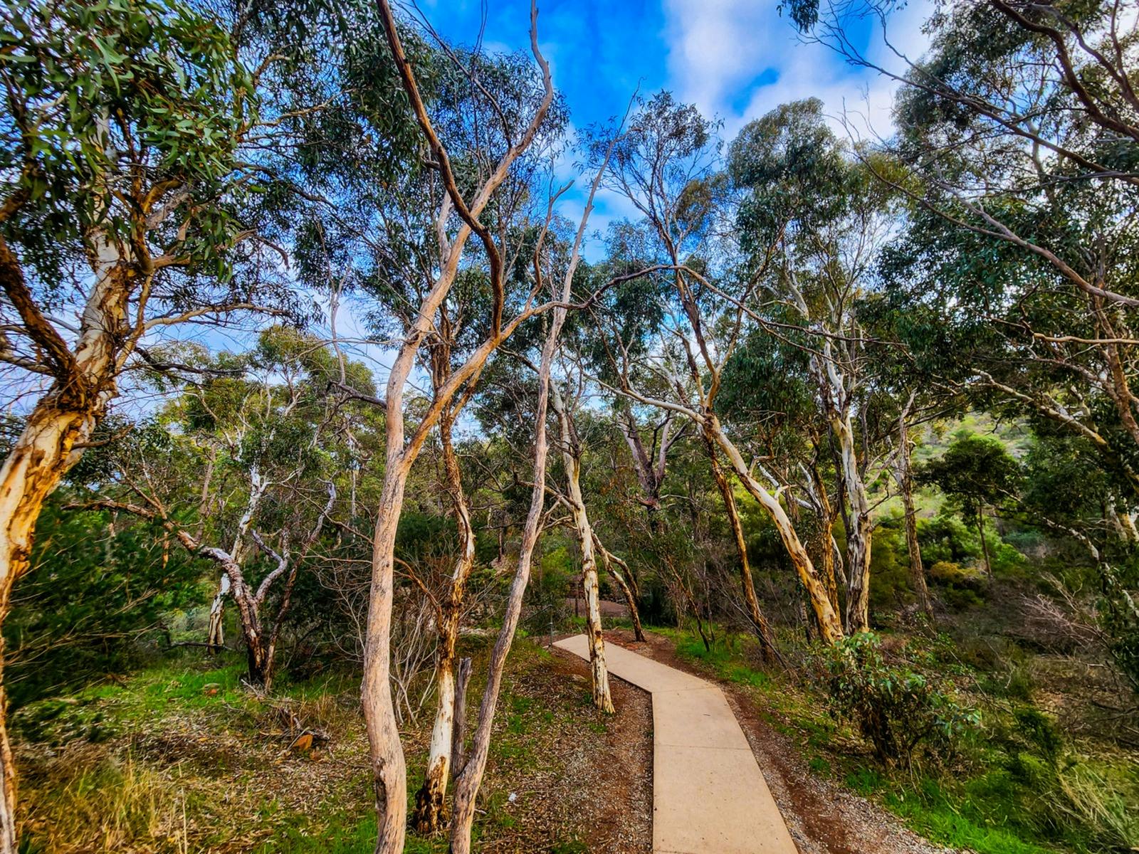 Valley Loop Walk Trail