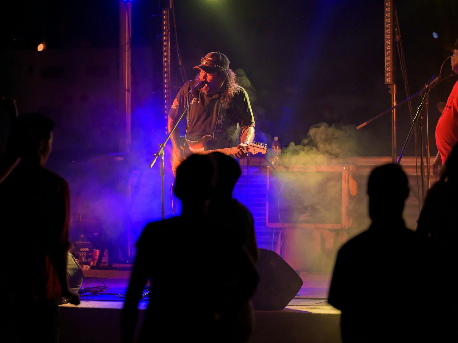 Image for Daminmin Arts and Culture Festival