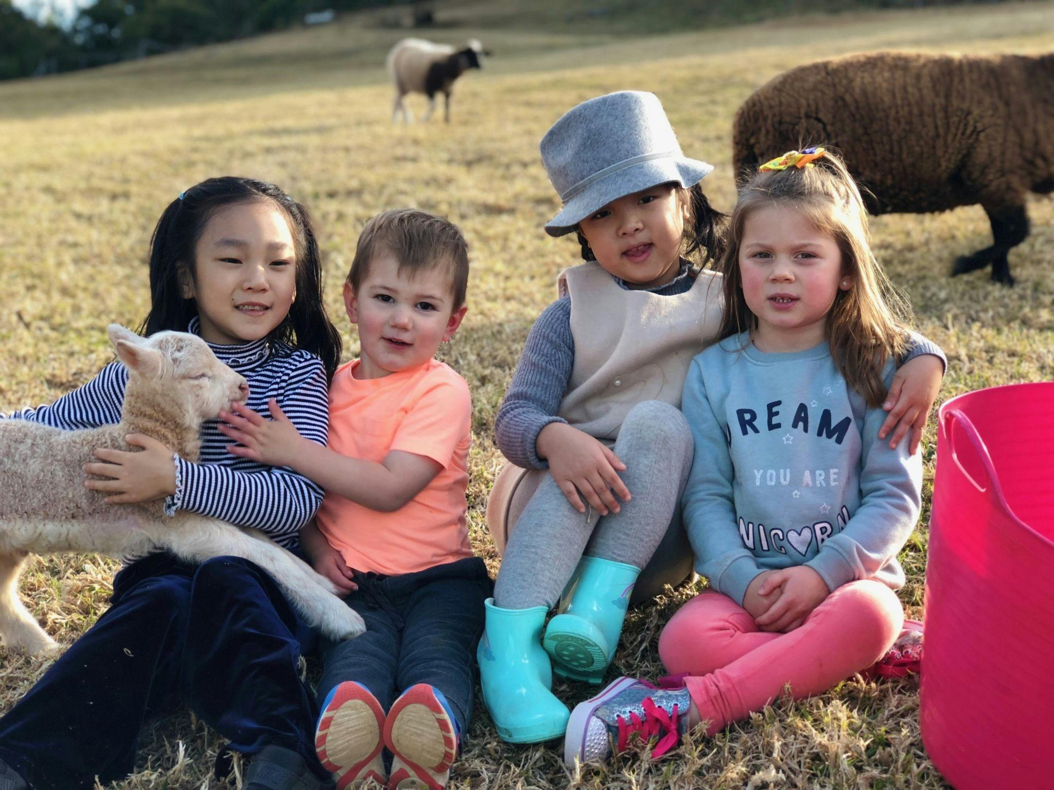 Downunder Farmstays QLD