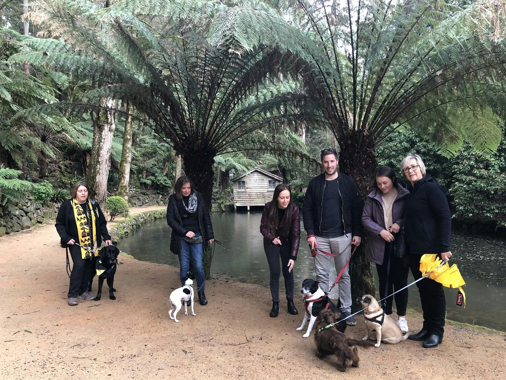 Paws and Pours High Tea Dandenongs