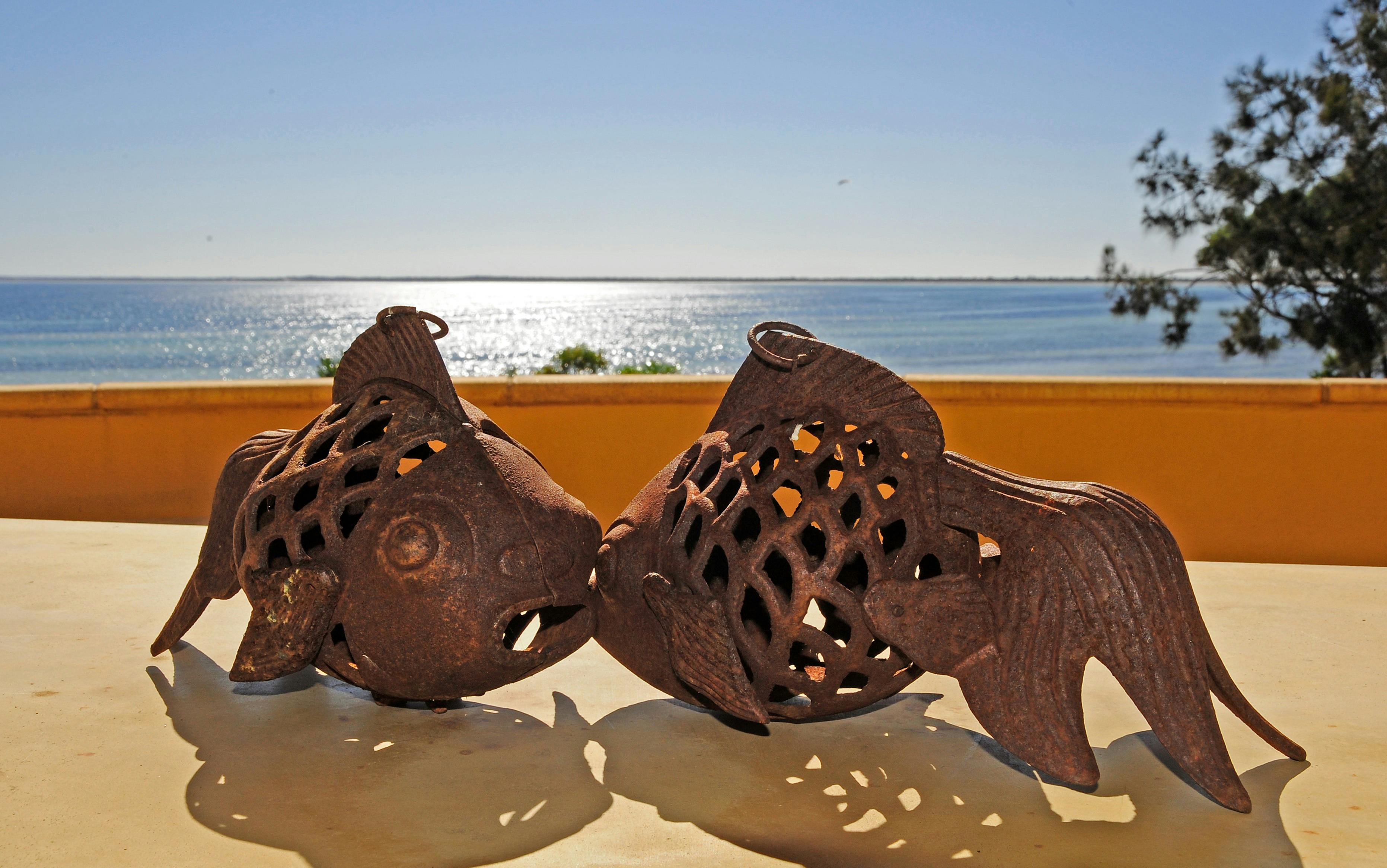 The view from the patio