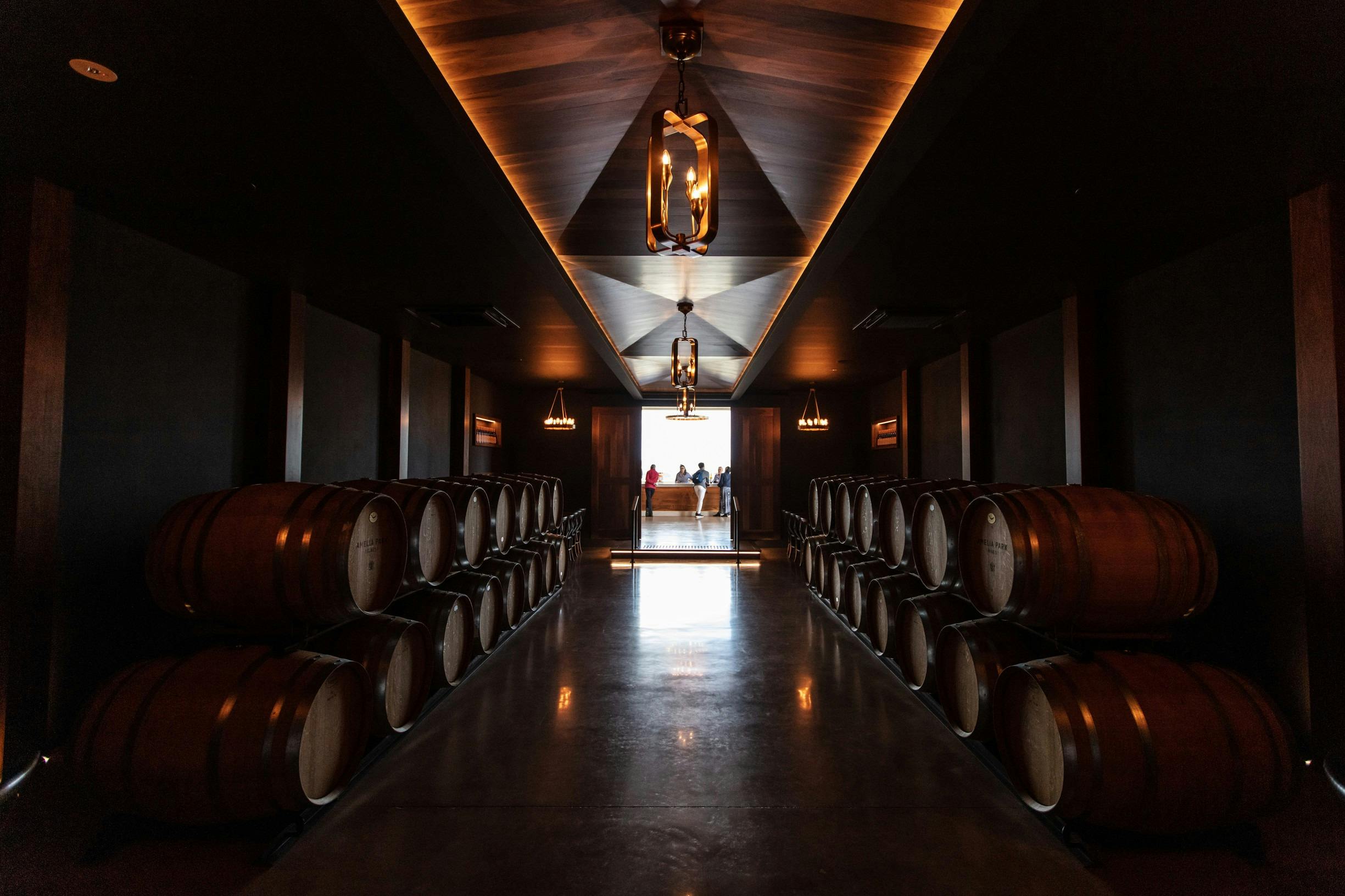 Inside Amelia Park Wines, Wilyabrup
