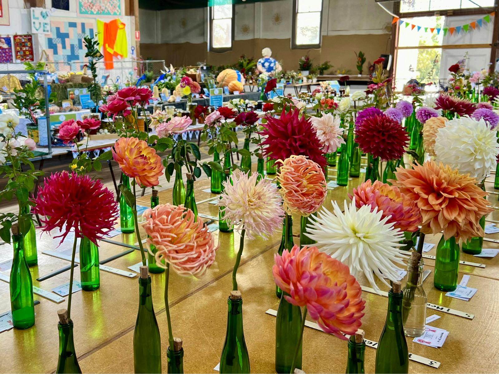 Dahlias at the Angaston Show