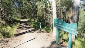Mt Coot-tha Tourist Drive