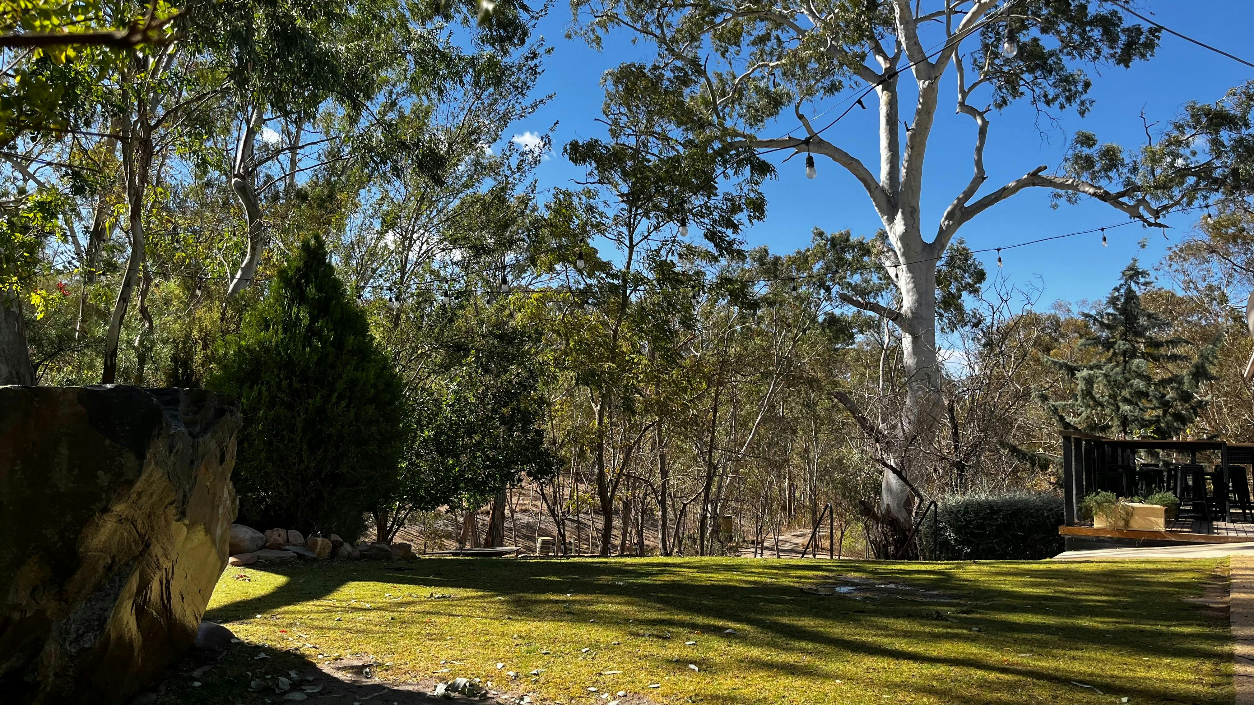 June at Jeanneret Wines & Clare Valley Brewing Co.