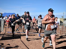 Runners starting at one of the 2024 events