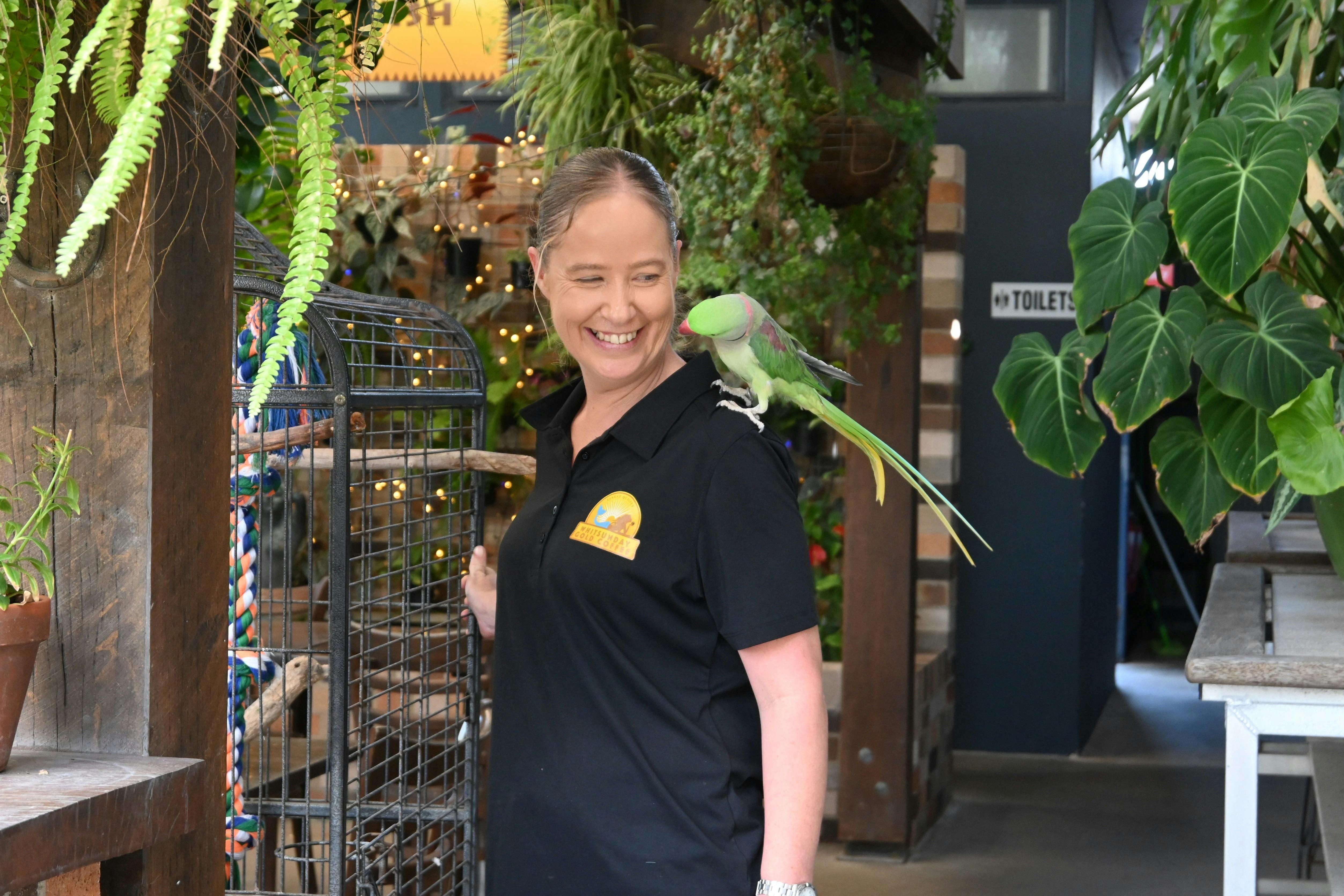 Whitsunday Gold Coffee is home to a large numbers of parrots and other animals