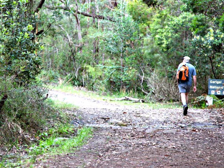 Walker on the Cascades trail. Photo: Shaun Sursok