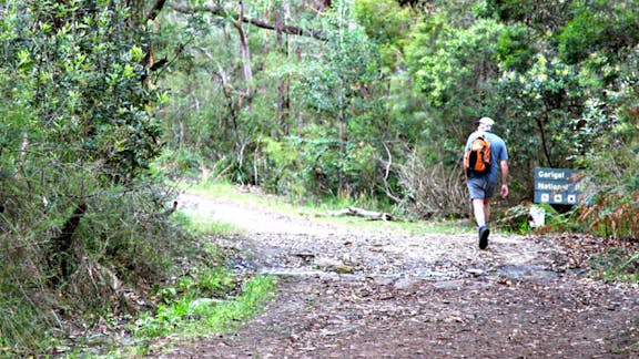 Cascades Trail