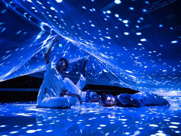 Saltbush - Insite Arts | Roxby Downs