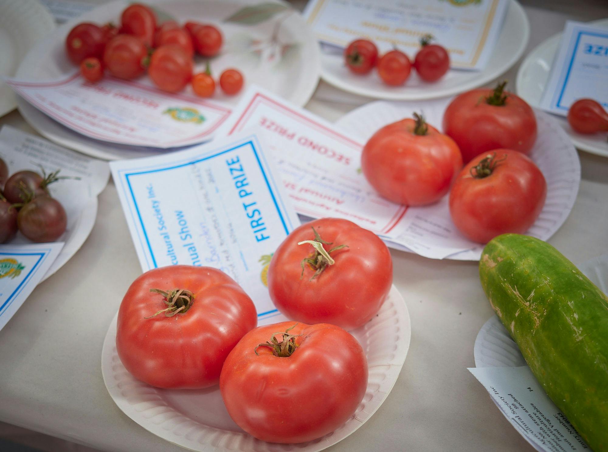Freshly grown tomatoes and vegetables displayed with prize certificates at the Bellarine Show.