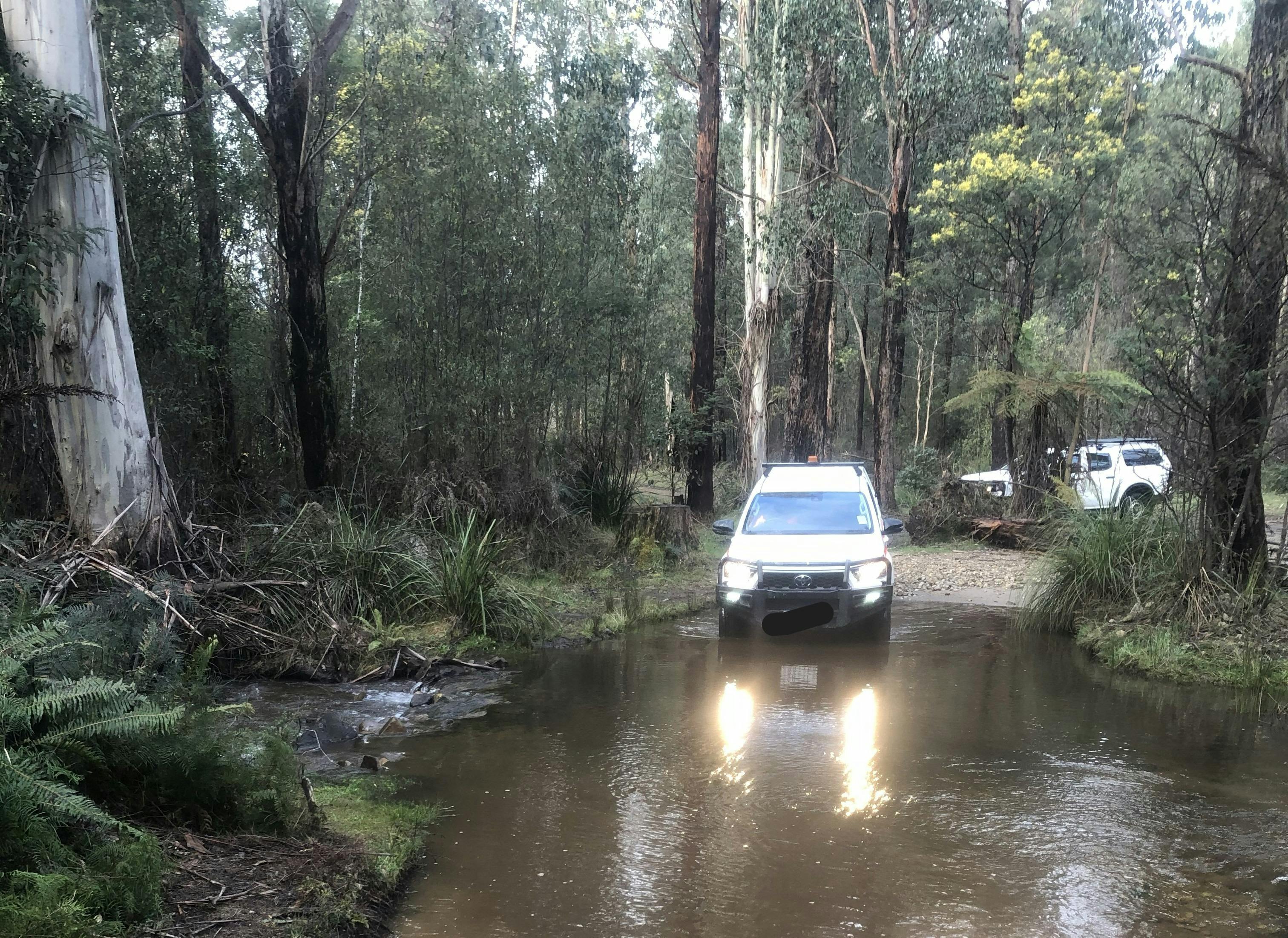 Narbethong - water crossing