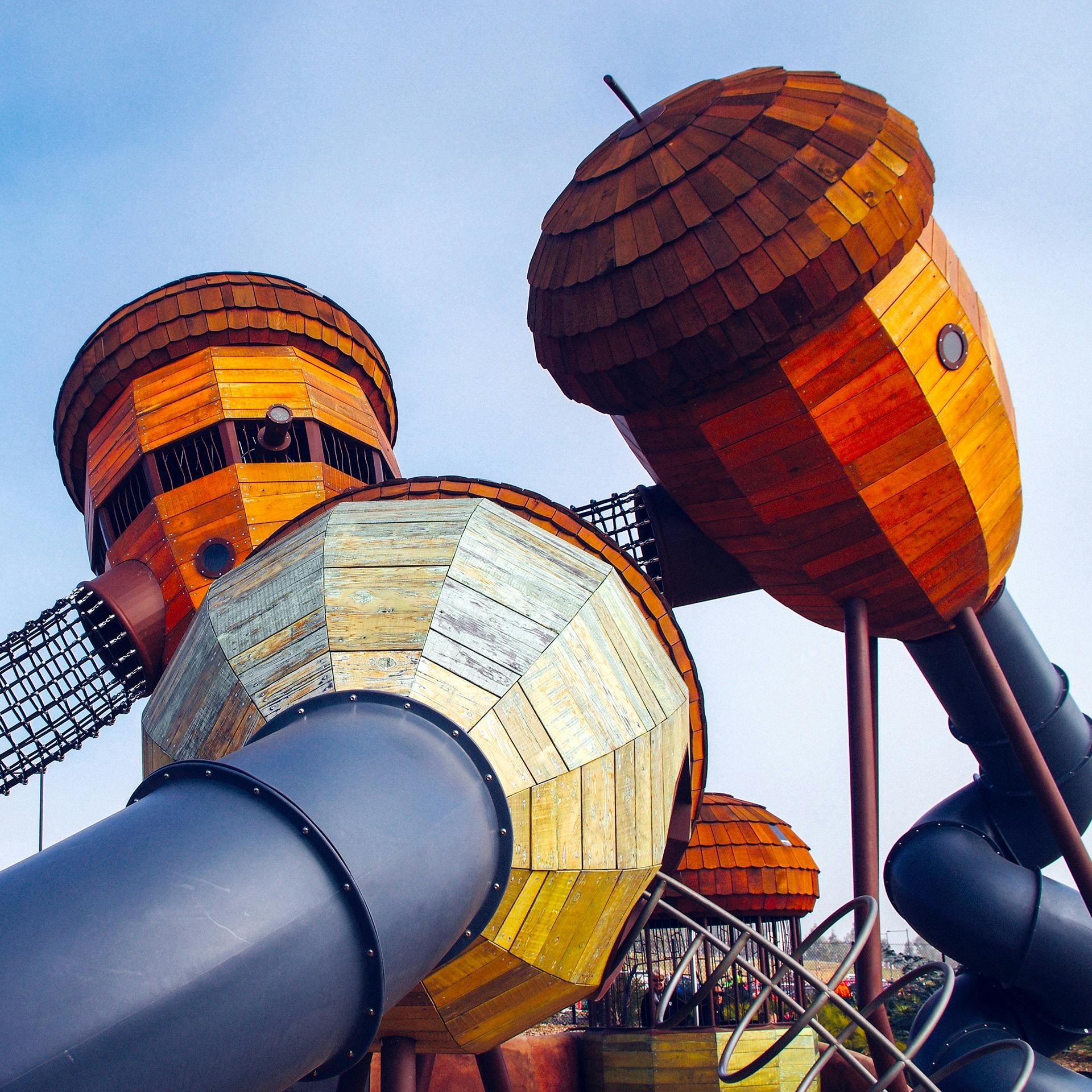Three large oversized acorn cubbies