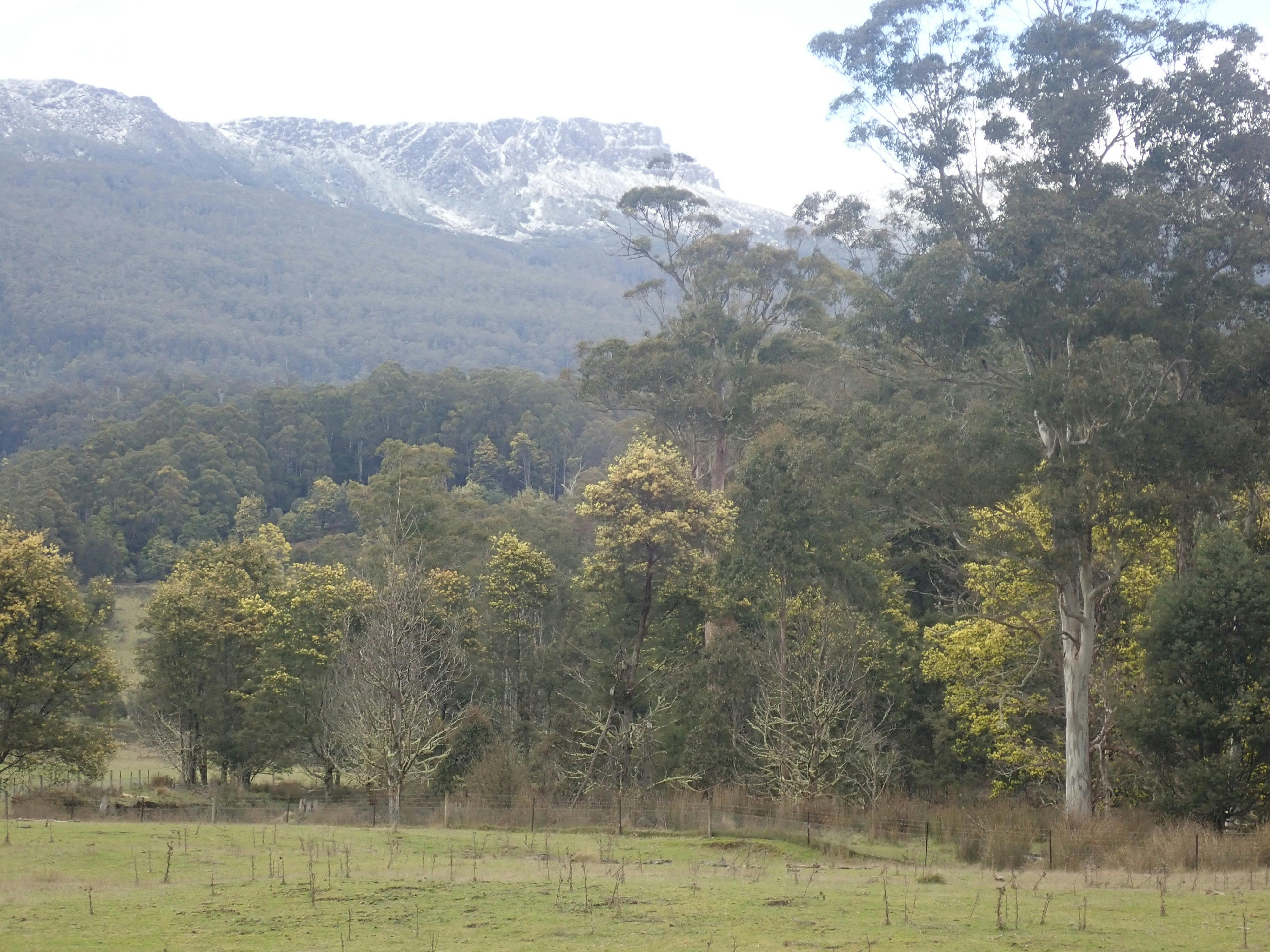 wild cave tours tasmania