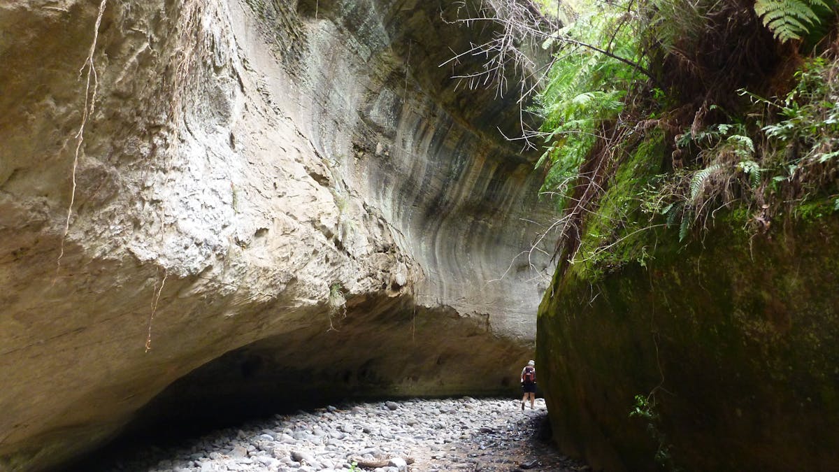 Carnarvon Gorge