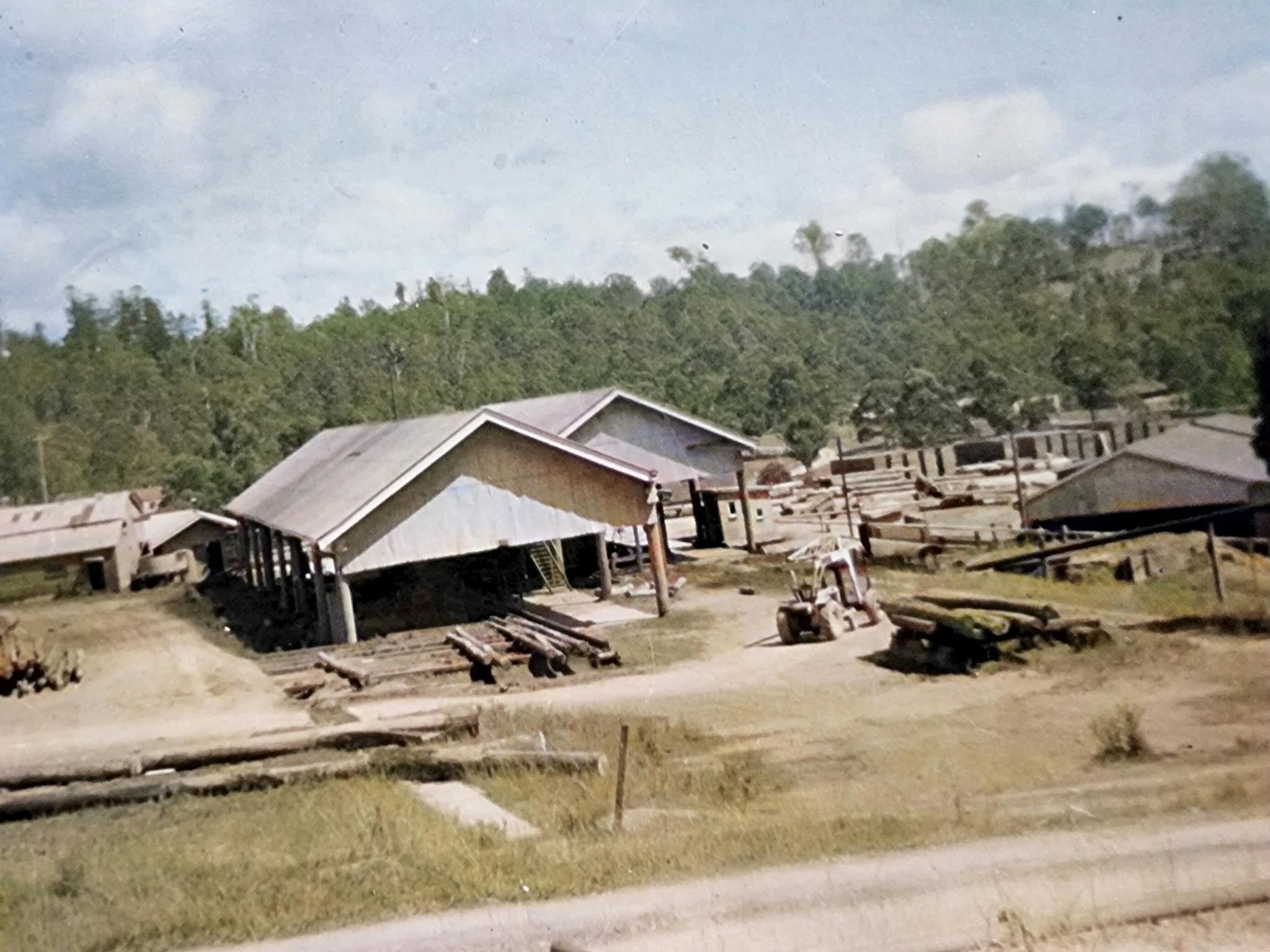 TOnce a humming environment for the production of timber TOnce a humming environment for the production of timber