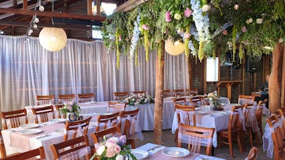 Decorate THEShed