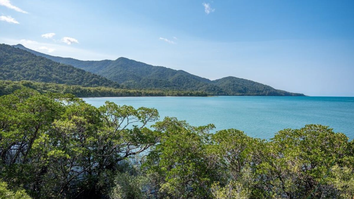 cape-tribulation