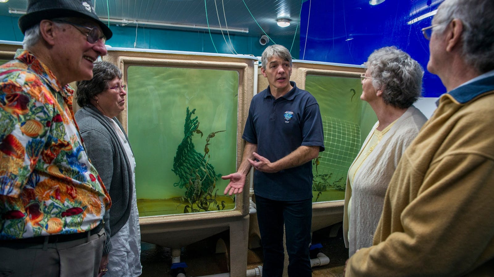 Seahorse World