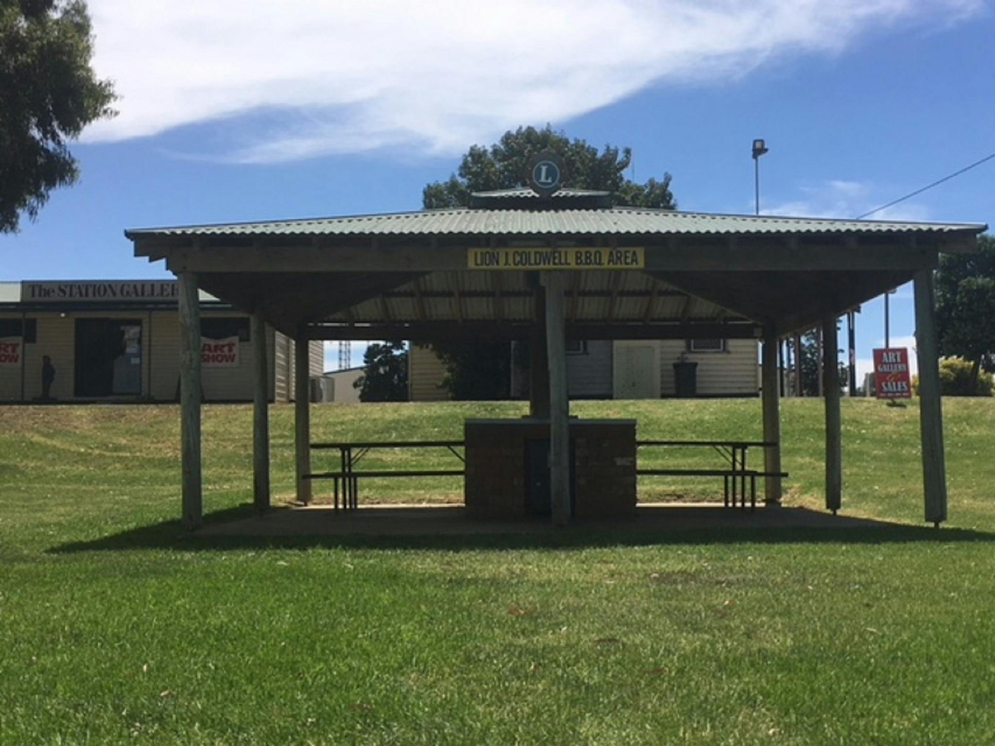 Lions BBQ Area