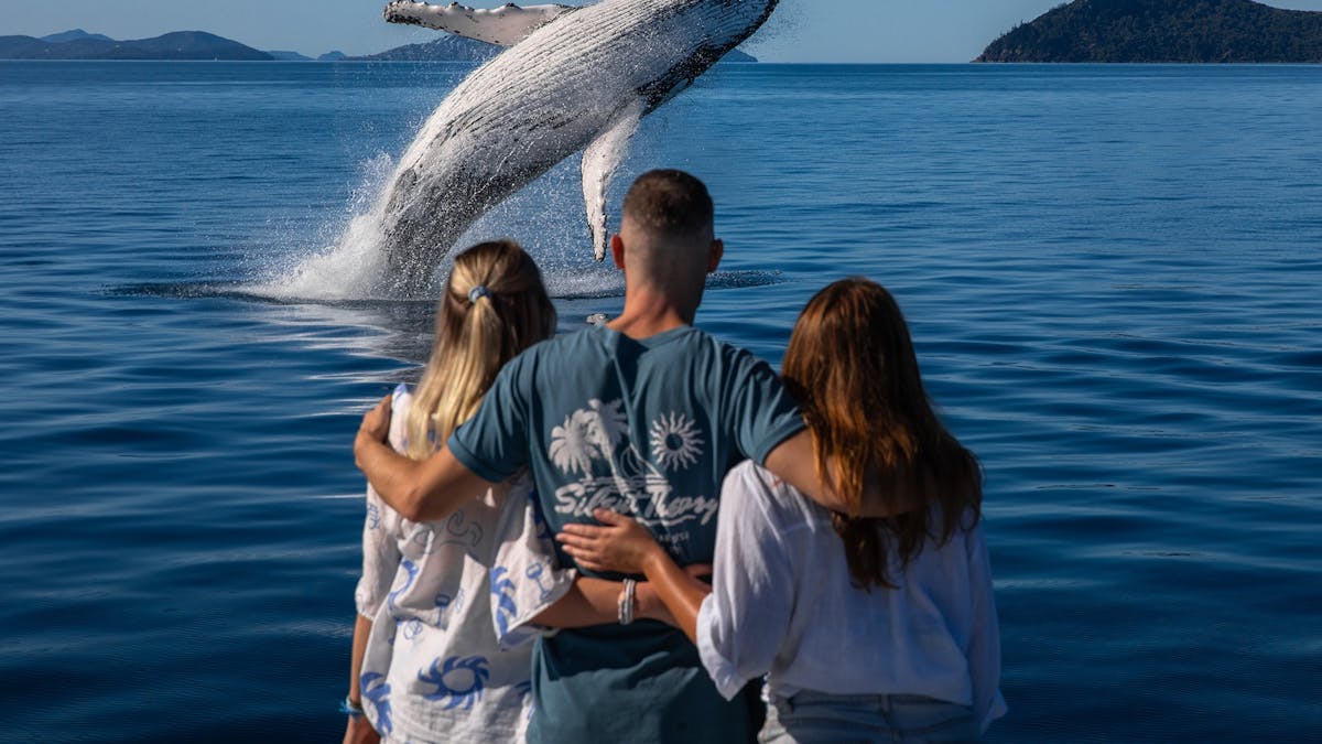 Three people standing on a boat watching a humpback whale breach in the waters of the Whitsundays