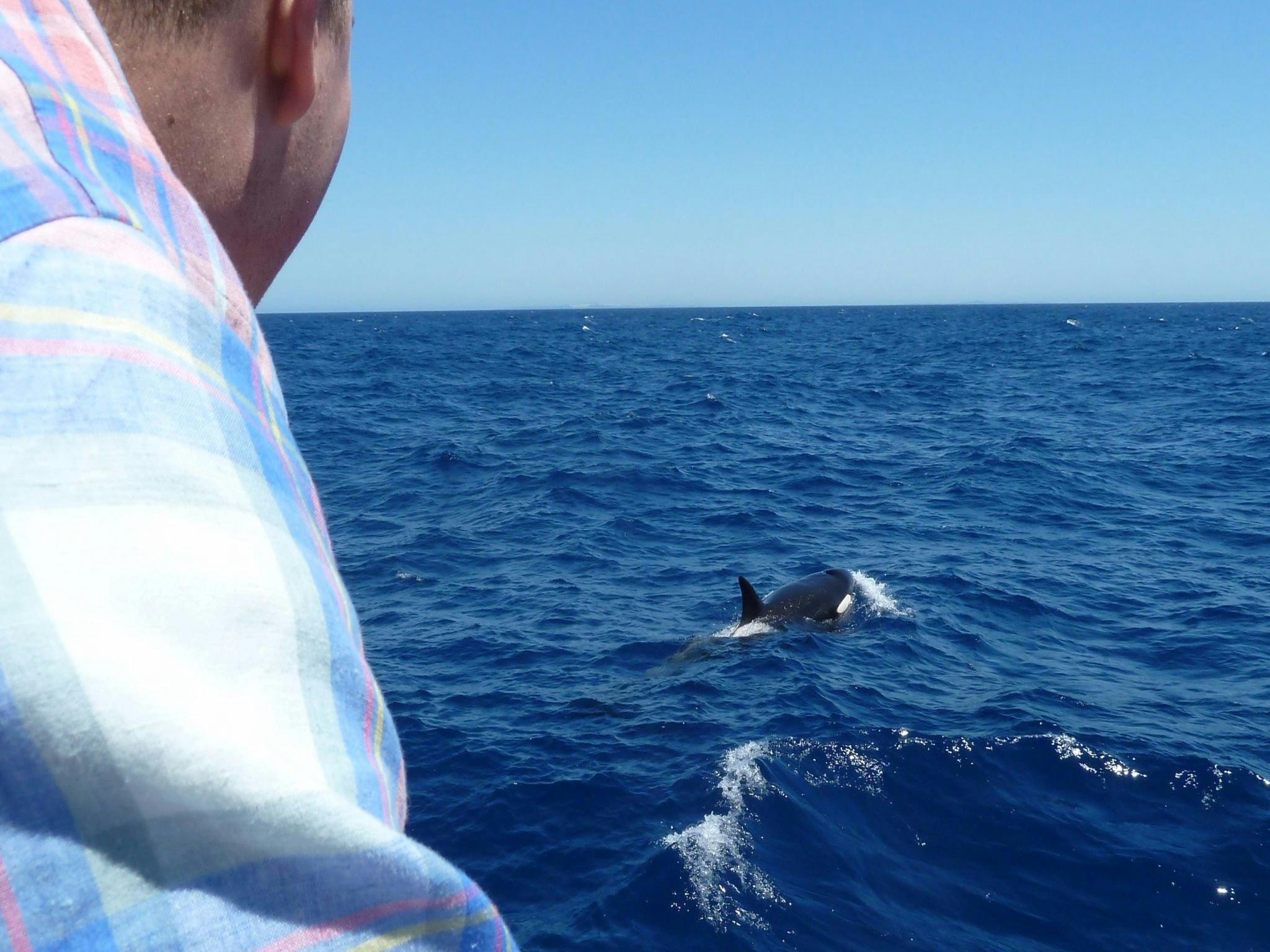 Busy Blue Bus Tours and Charters, Albany, Western Australia