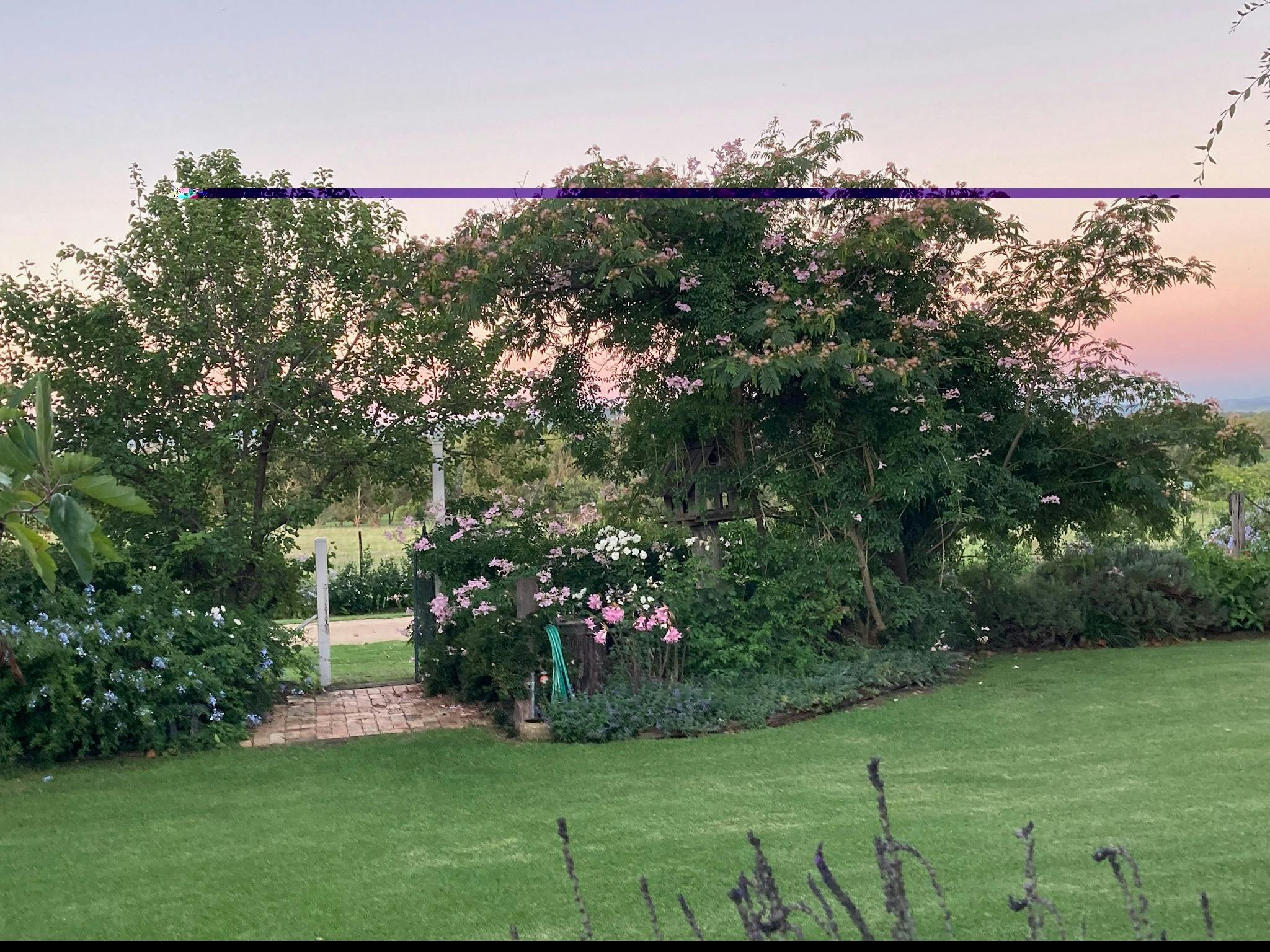 Ruth's Garden