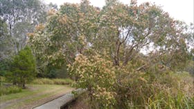 Baldwin Swamp Environmental Park