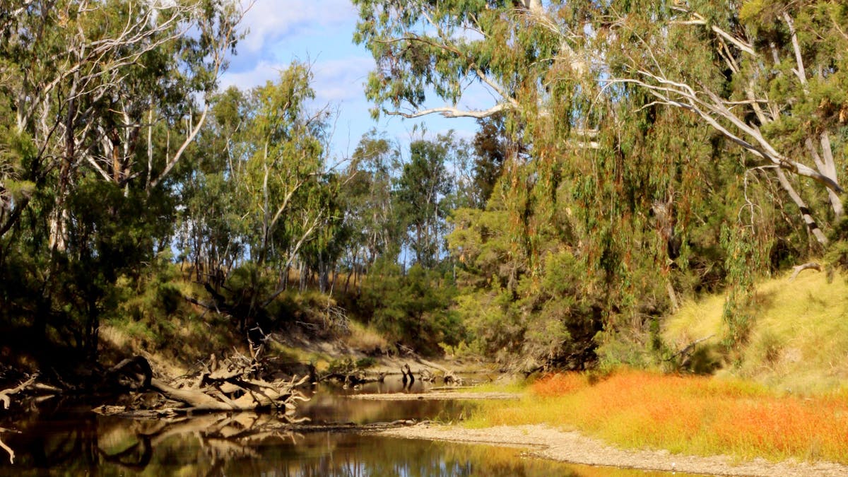Yelarbon Lagoon