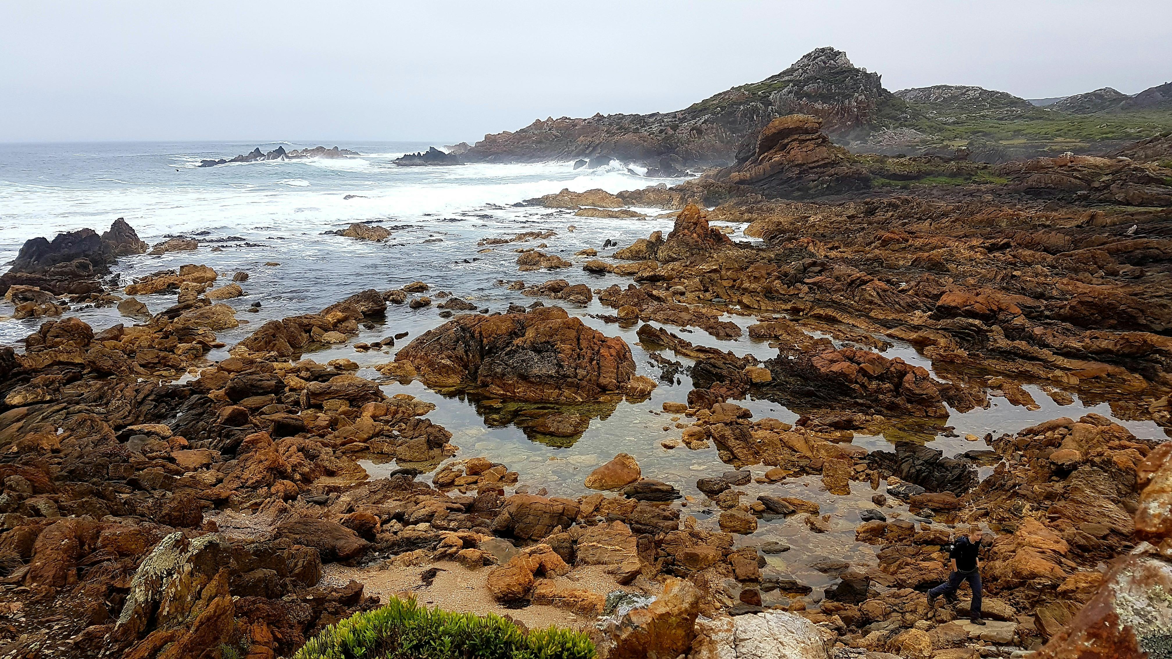 The stunning coast around the Tarkine Wilderness Walk by Life's An Adventure